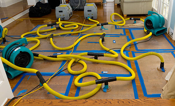 Professional Crawl Space Water Removal technician working in Elkwood, VA
